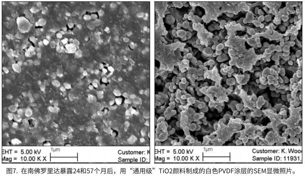 图7.  在南佛罗里达暴露24和57个月后，用“通用级”TiO2颜料制成的白色PVDF涂层的SEM显微照片