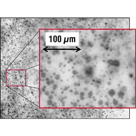 流体粒子分析系统ParticleMaster图片
