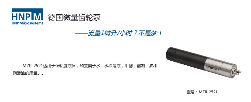 低压齿轮泵